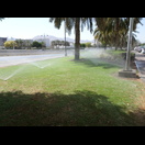 Grün ist es nur dort, wo intensiv bewässert wird